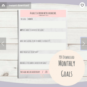 www.franexcell.com Monthly Goals PDF Download Printable